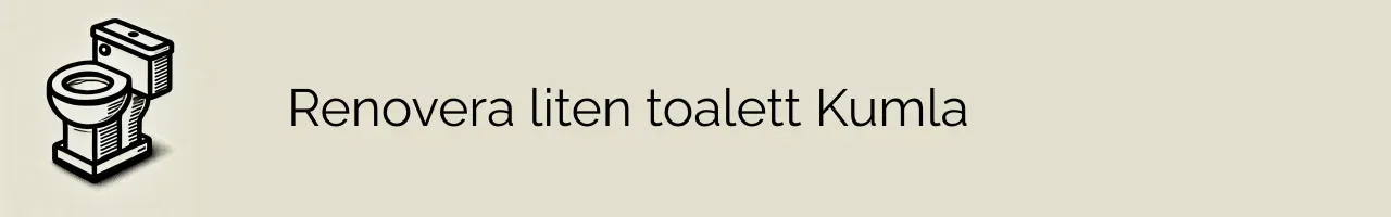 Renovera liten toalett Kumla